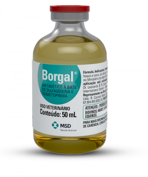 BORGAL 24% 50ML