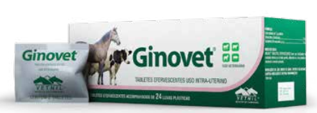 GINOVET 6X24 (2TAB)