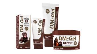 DM GEL 12X300G