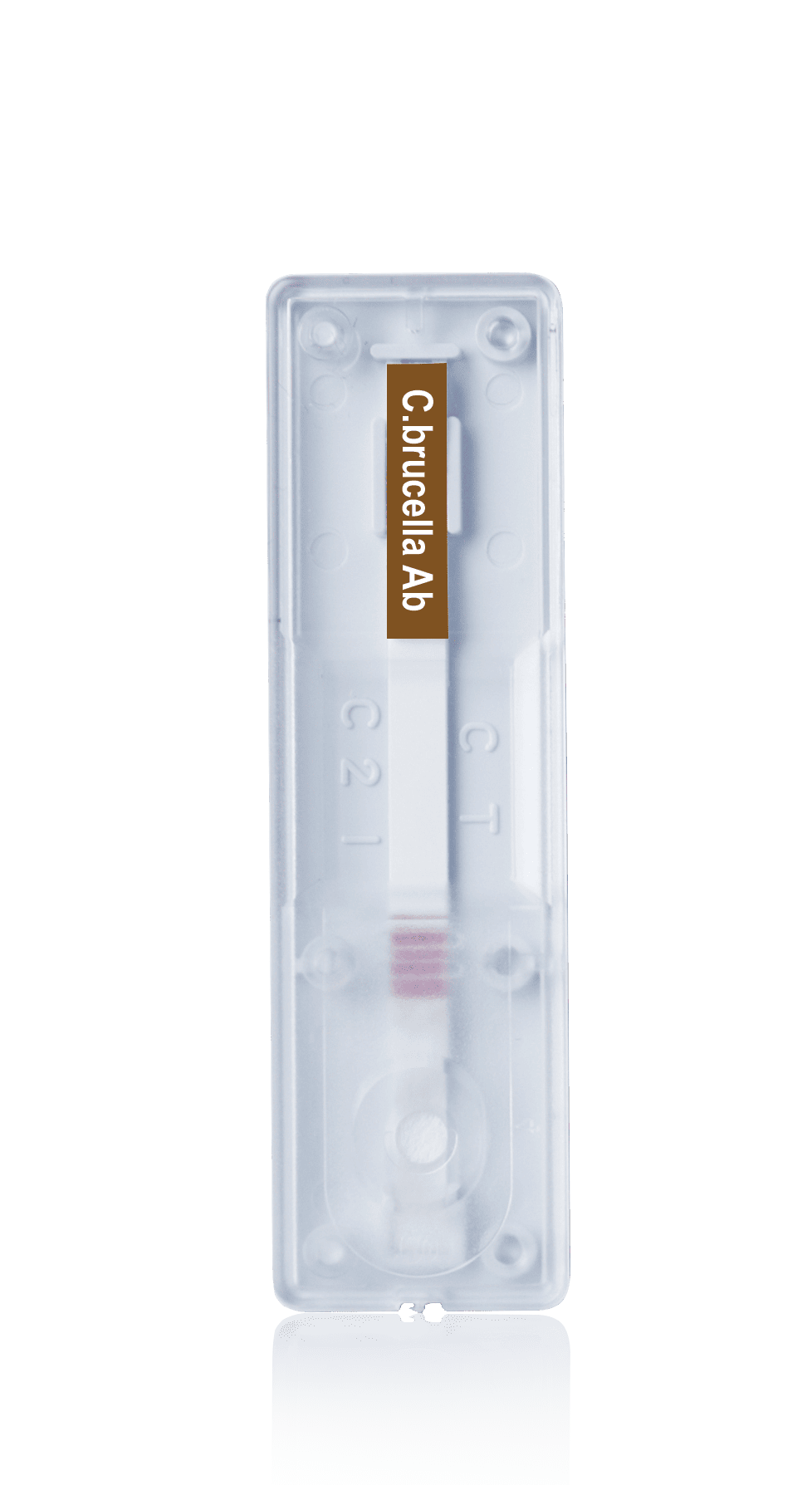 ALERE BRUCELOSE CANINA AC (KIT) - COM 10 UNIDADES 