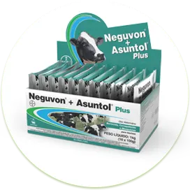 NEGUVON + ASSUNTOL PLUS KIT