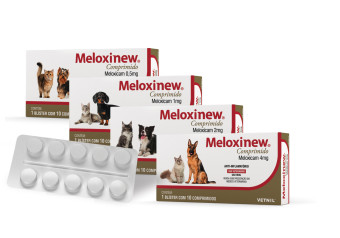 MELOXINEW 2MG 10COMP