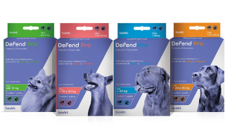 DEFEND PRO CAES (ATÉ 10KG) - 1 PIPETA DE 0,67ML