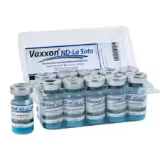 VAXXON ND LA SOTA - 10 UNIDADES 