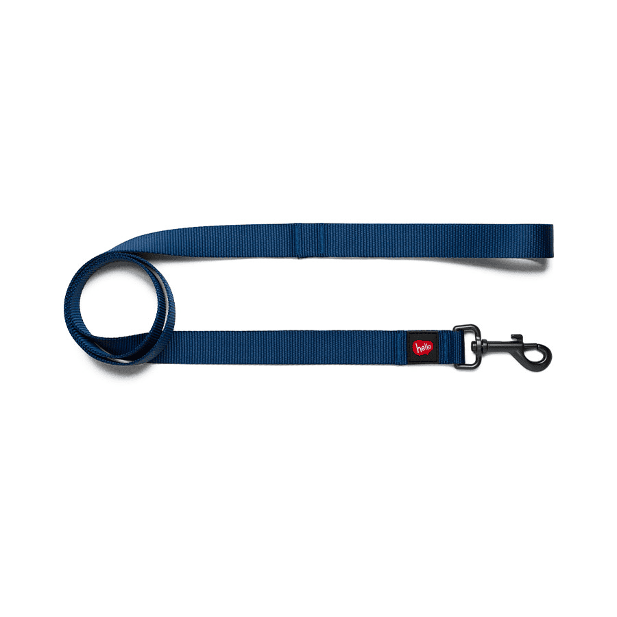 ZEE HELLO AZUL GUIA M (7648)