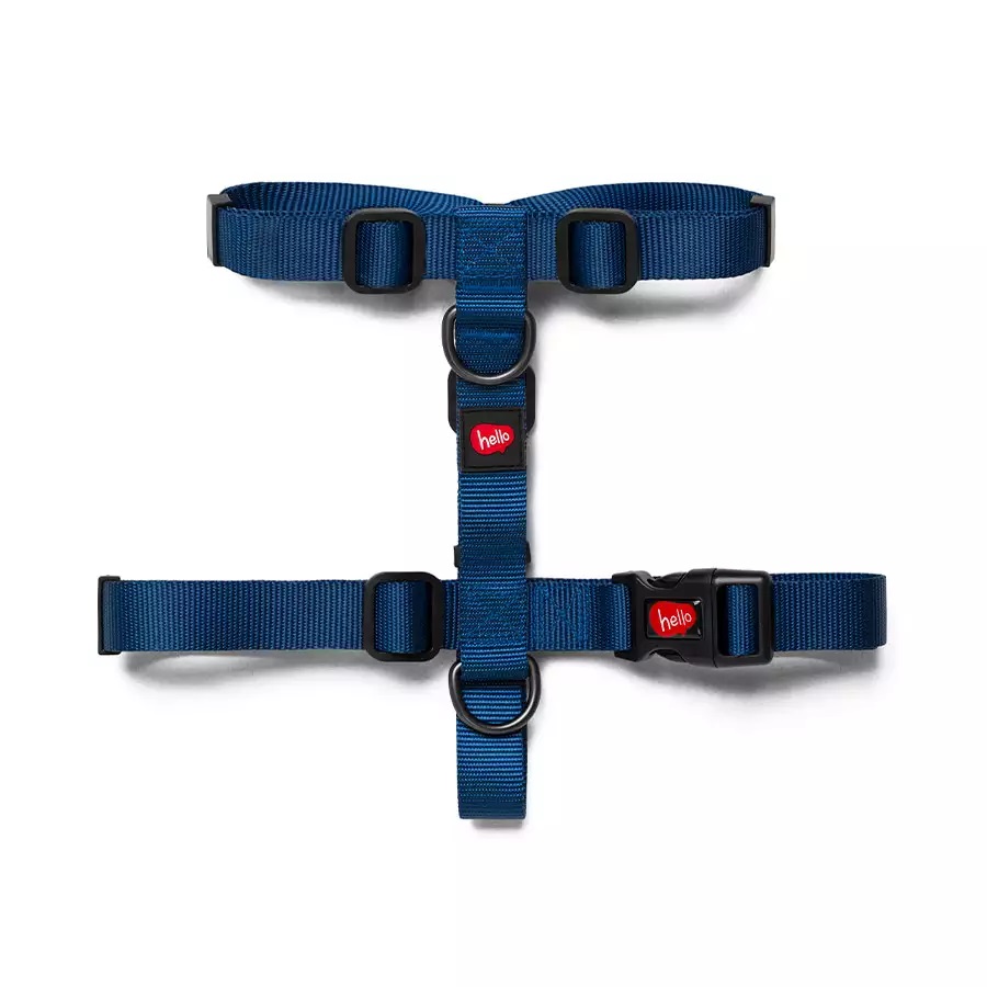 ZEE HELLO AZUL PEIT. H M (7808)