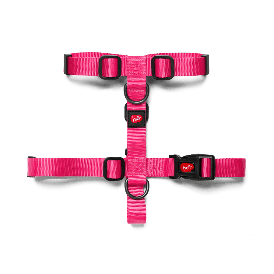 ZEE HELLO ROSA PEIT. H PP (786
