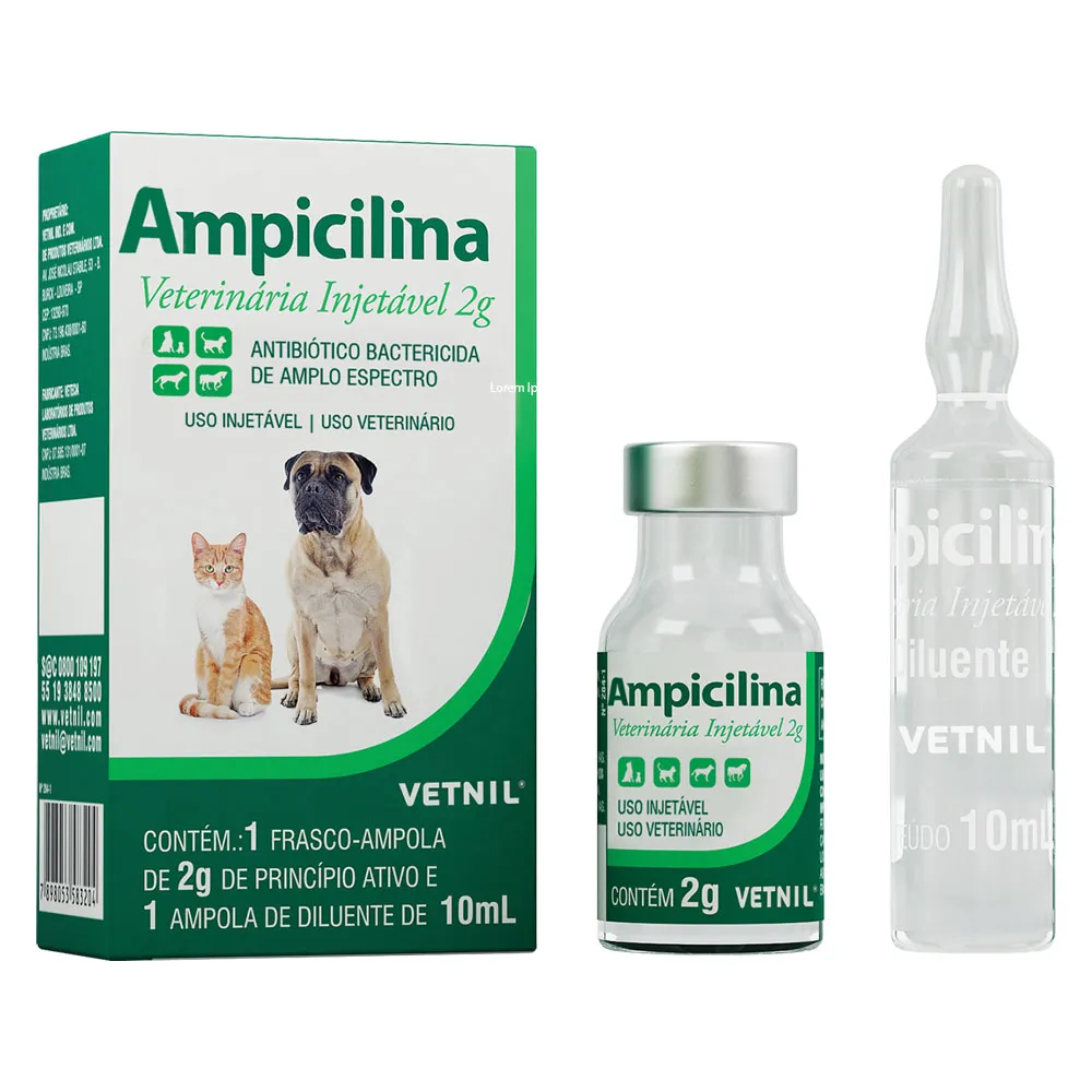 AMPICILINA INJ.48X2G